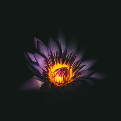 New Moon Yoga + Moon Mercado at Kaya Orlando
