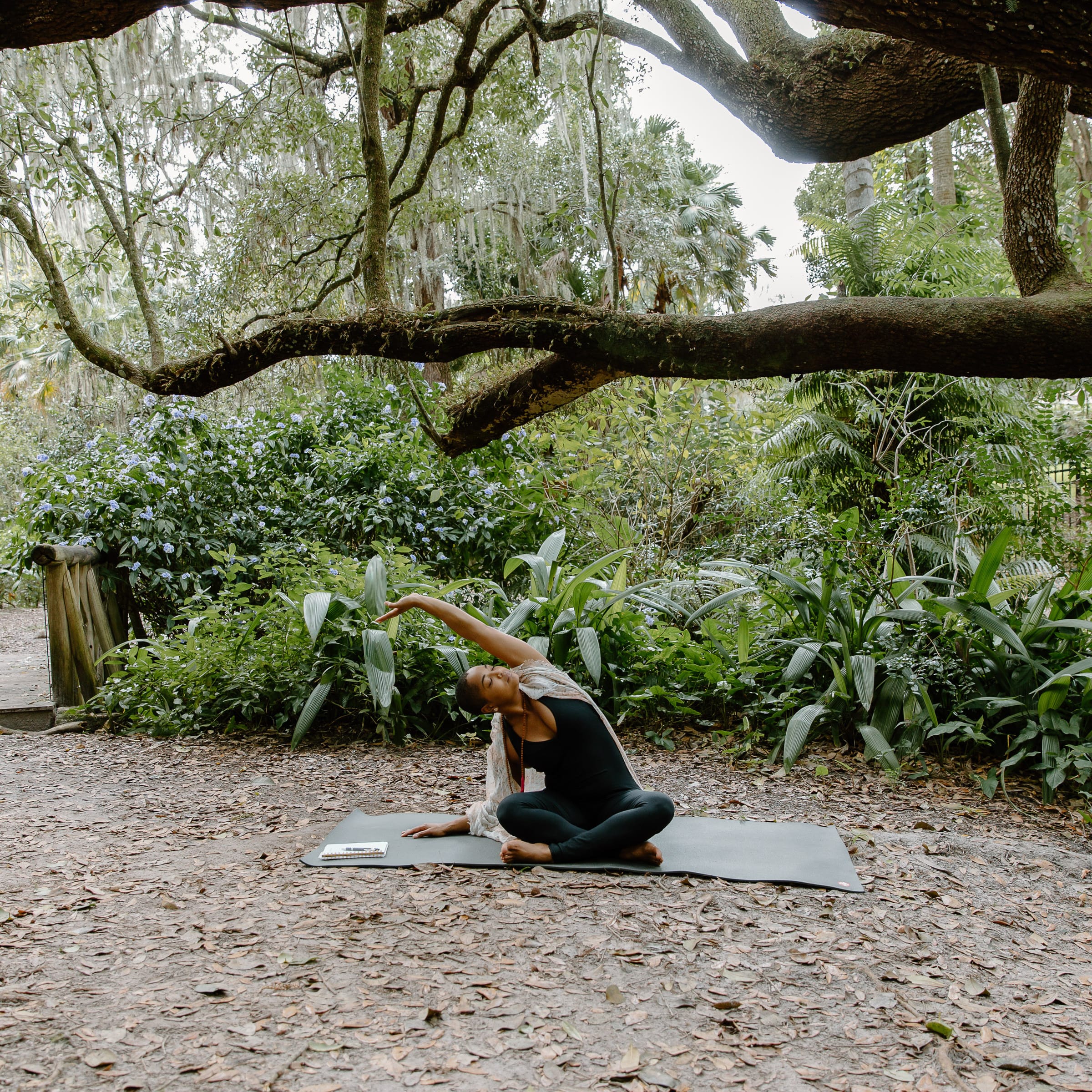 Breathe with the Trees Relaxation Training